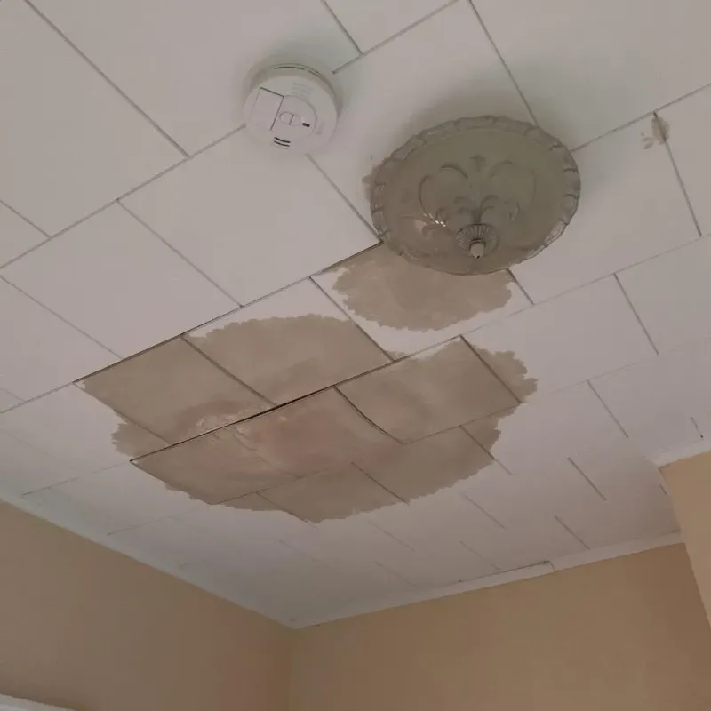 Ceiling Water Damage Repair in Kechi, KS