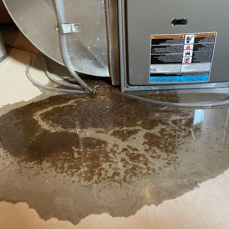 Pipe Burst and Leak Restoration in Kechi, KS